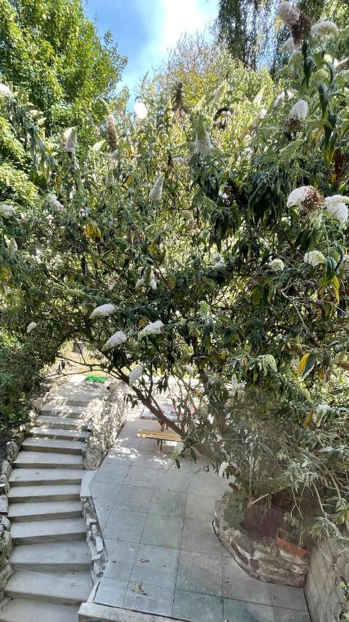 Au Jardin De La Basilique Apartment Boulogne-sur-Mer Bagian luar foto