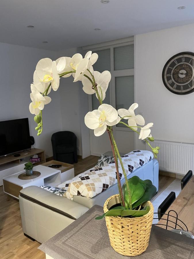 Au Jardin De La Basilique Apartment Boulogne-sur-Mer Bagian luar foto