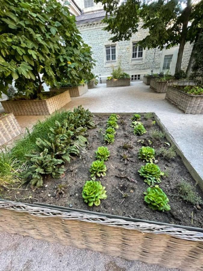 Au Jardin De La Basilique Apartment Boulogne-sur-Mer Bagian luar foto